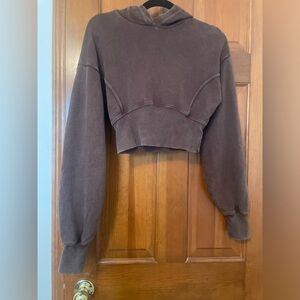 Aerie Brown Cropped Hoodie